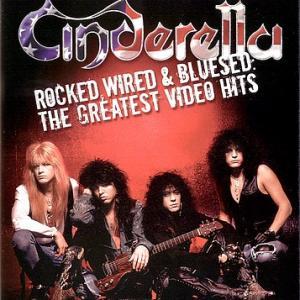 Rocked, Wired & Bluesed: The Greatest Video Hits